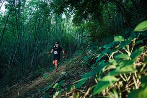 BIB: 
                            <button type="button" onclick="openModal(28124999)" class="btn btn-primary btn-sm float-right btn-popup" data-toggle="modal" data-target=".modal-high-quality">
                        <i class="fas fa-shopping-cart"></i> Add to Cart
                    </button>
                                            <button type="button" onclick="isThisMe(28124999, true)" class="btn btn-success btn-sm float-right btn-popup btn-isme hidden" data-toggle="tooltip" data-placement="bottom" title="นี่คือรูปของคุณใช่ไหม คลิกที่นี่เพื่อเอาเข้าอัลบั้ม">
                        <i class="fas fa-plus"></i> Add to album
                    </button>
                    <button type="button" onclick="isThisMe(28124999, false)" class="btn btn-warning btn-sm float-right btn-popup btn-isnotme hidden">
                        <i class="fas fa-ban"></i> Remove from album
                    </button>